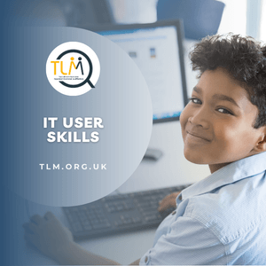 IT User Skills Qualifications